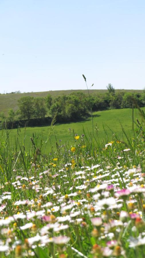 Nature'S Pace Holidays Montmaur  Exteriér fotografie